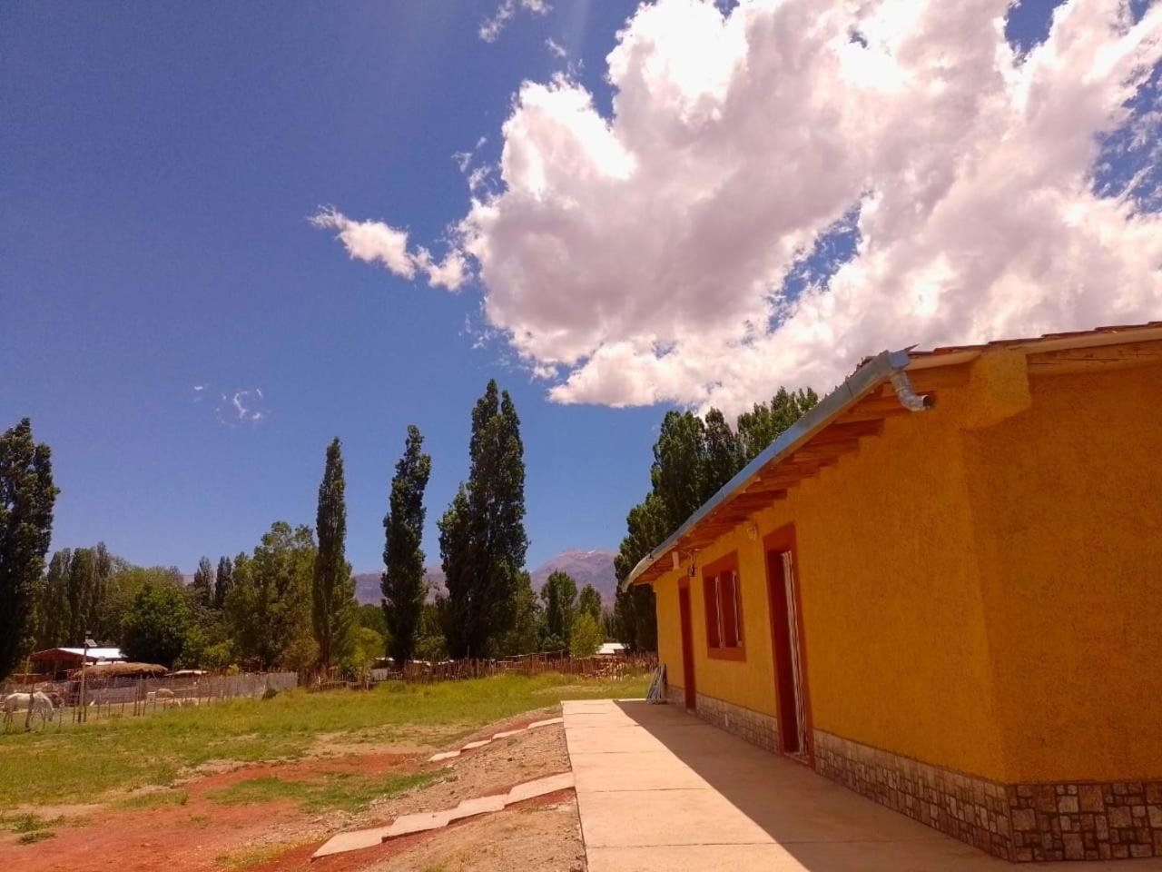 Casas De Montanas * Uspallata